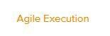 Trademark Agile Execution