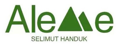 Trademark Aleme Selimut Handuk + Logo