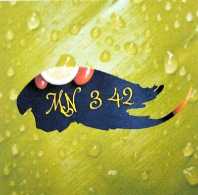 Trademark MN 342