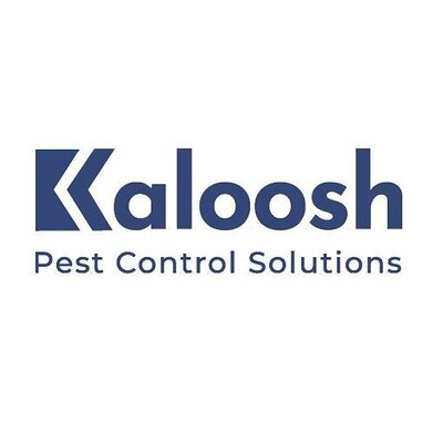 Trademark KALOOSH