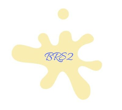 Trademark BRS2 + Gambar/Logo