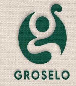 Trademark GROSELO + Logo