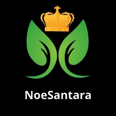 Trademark NoeSantara