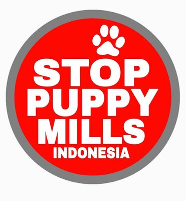 Trademark STOP PUPPY MILLS INDONESIA