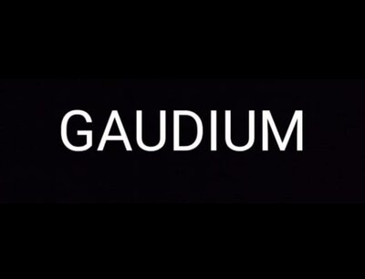 Trademark GAUDIUM