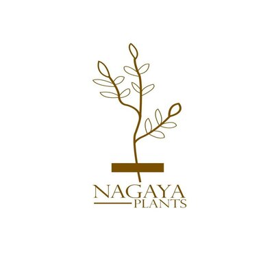 Trademark Nagaya Plants