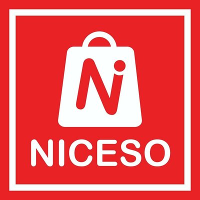 Trademark Niceso + Logo