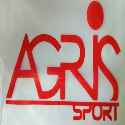 Trademark AGRIS SPORT DAN LUKISAN