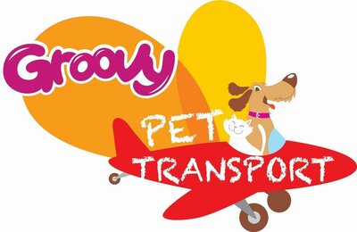 Trademark Groovy Pet Transport