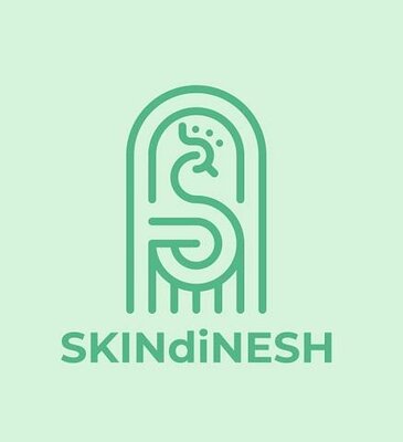 Trademark SKINdiNESH + Logo