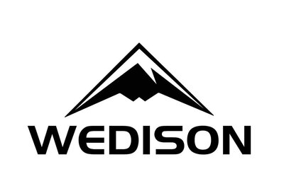 Trademark WEDISON + LOGO