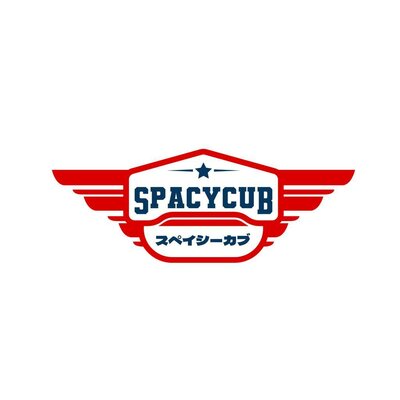 Trademark SPACYCUB