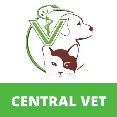 Trademark CENTRAL VET