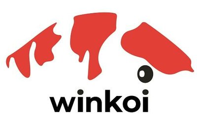 Trademark WINKOI + LOGO