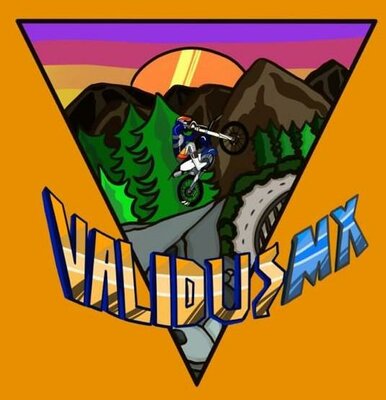 Trademark VALIDUSMX + LOGO