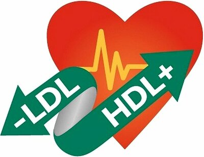 Trademark -LDL HDL+