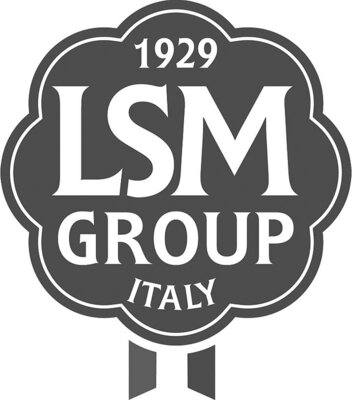 Trademark 1929 LSM GROUP ITALY