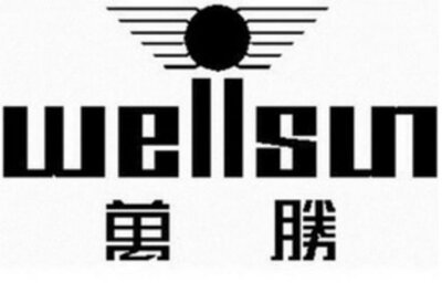 Trademark wellsun