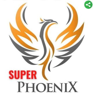 740 Gambar Sketsa Burung Phoenix Gratis